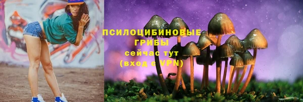 дурь Арсеньев