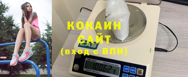 стафф Аркадак