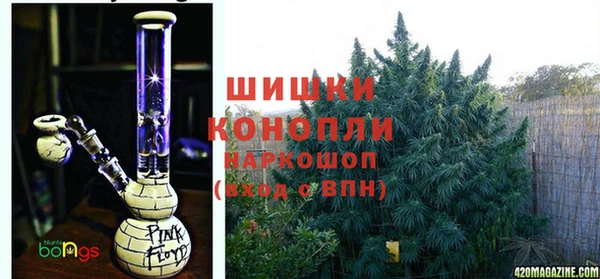 мдпв Нея