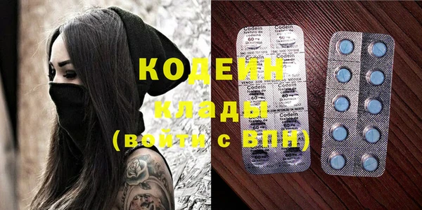 дурь Арсеньев
