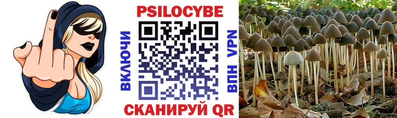 Псилоцибиновые грибы ЛСД  Спасск-Рязанский 